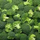 broccolai's avatar